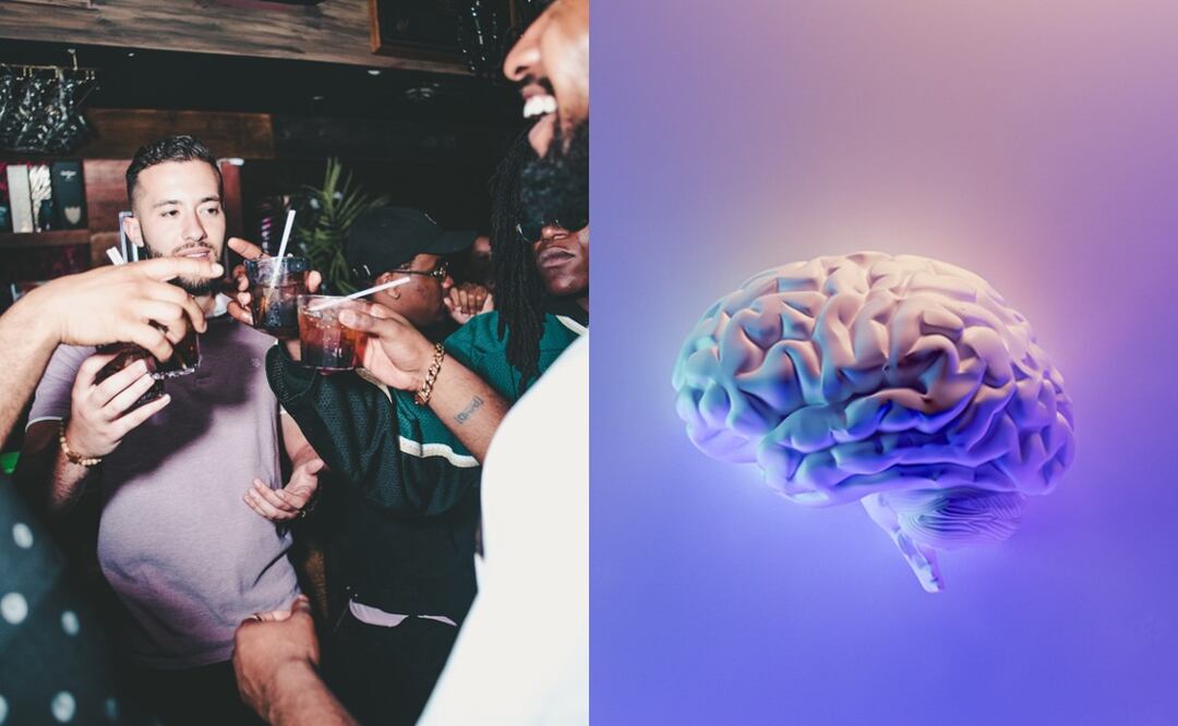 ¿Por qué me gusta empedarme y cuáles son los efectos del alcohol en mi cerebro?
