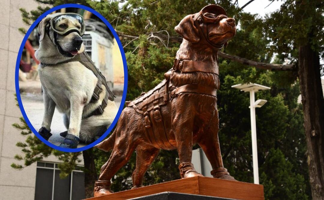 Develan escultura en honor a Frida, la perrita rescatista que se ganó el corazón de todos