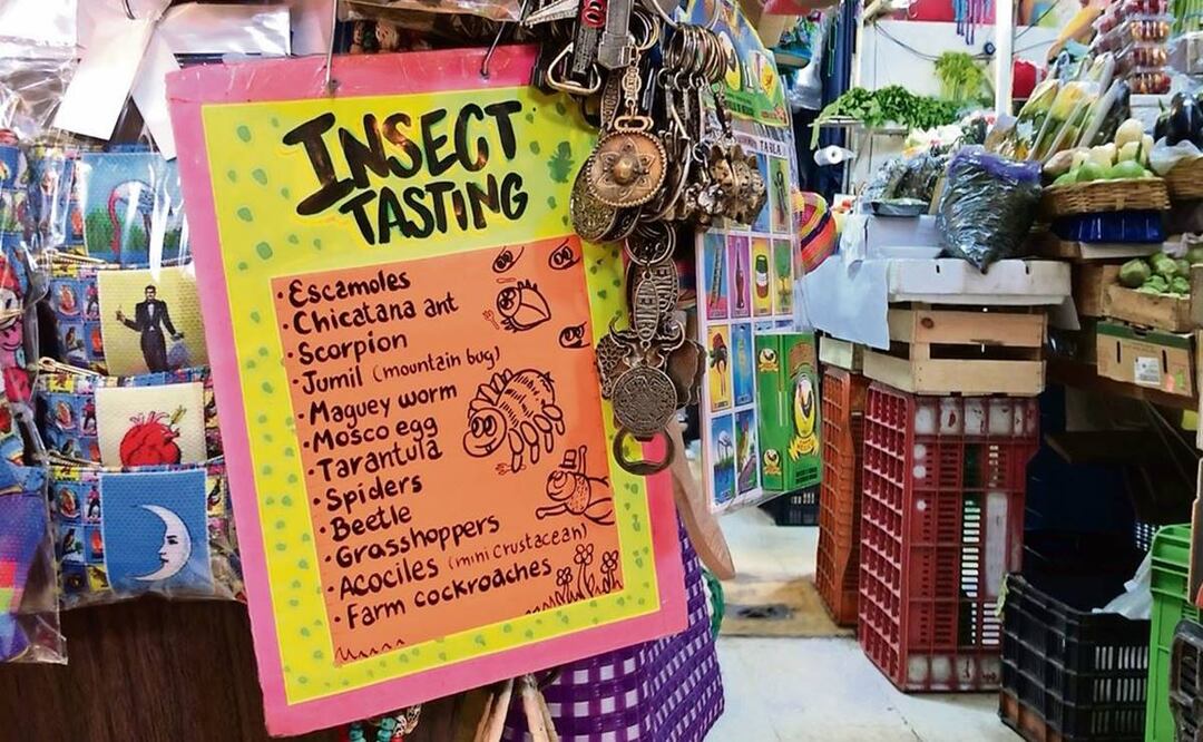 ¿Chicken con mole? Gentrificación llega a Coyoacán y ya hasta en el mercado hablan inglés