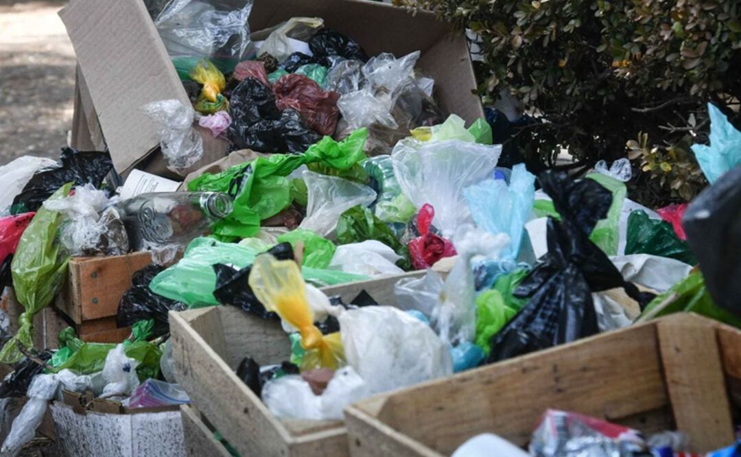 Día Mundial del Medio Ambiente: Acciones que puedes hacer para reducir el impacto ambiental