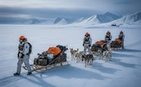 Ni tanques ni aviones: La unidad de élite que defiende Groenlandia a -40 grados con trineos de perros