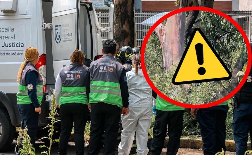 Hallan a un hombre sin vida colgado de un árbol en la Gustavo A Madero