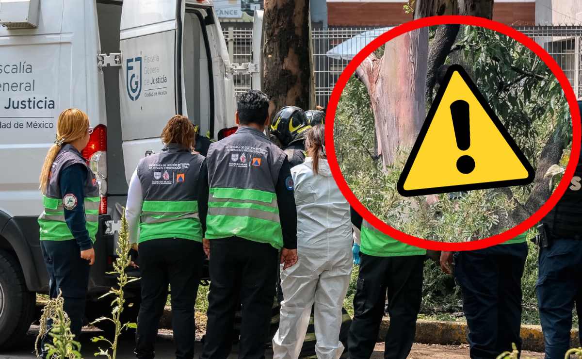 Hallan a un hombre sin vida colgado de un árbol en la Gustavo A Madero