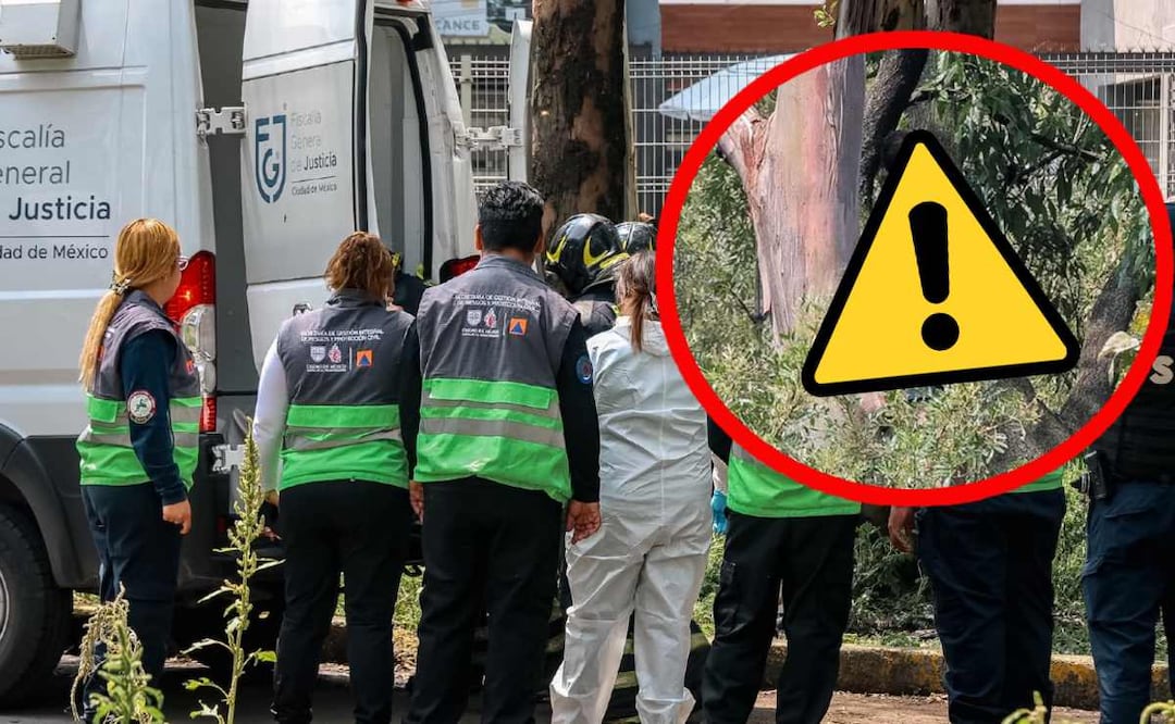 Hallan a un hombre sin vida colgado de un árbol en la Gustavo A Madero. Foto: (Osmar Alvarado)