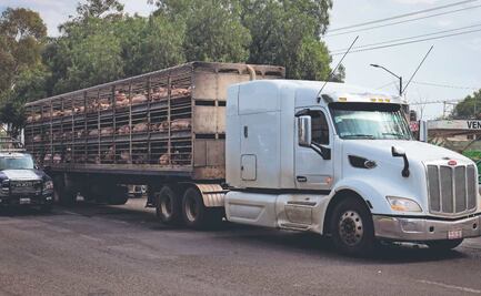 Limpiaparabrisas quería una monedas y terminó arrollado por tráiler en Chimalhuacán