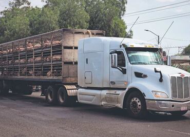 Limpiaparabrisas quería una monedas y terminó arrollado por tráiler en Chimalhuacán