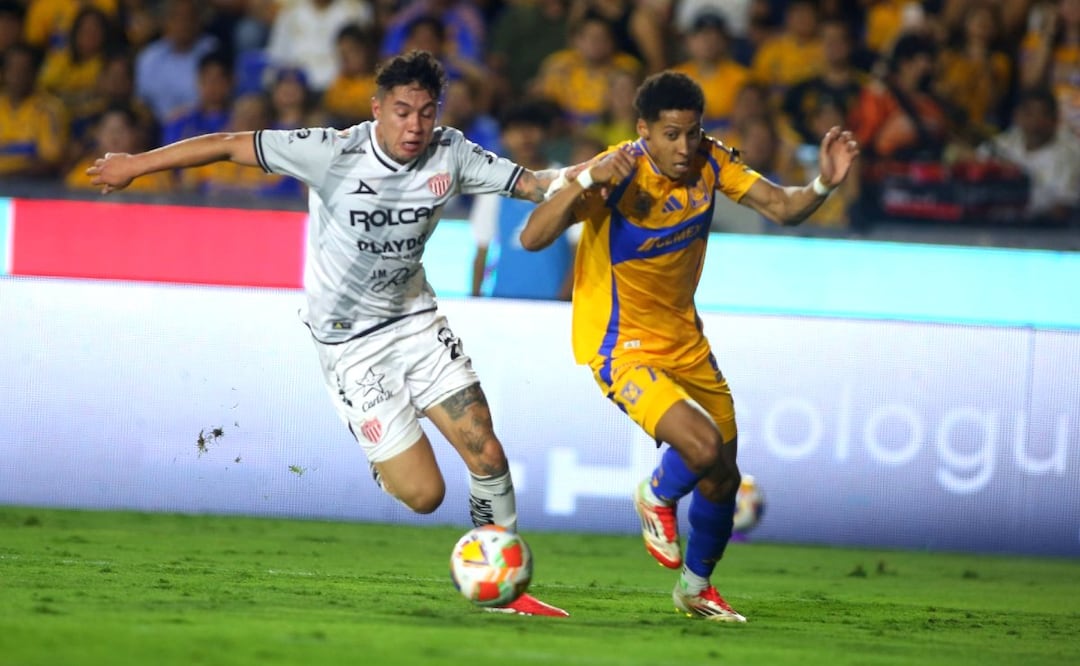 Foto: Cuartoscuro (Tigres vs Necaxa: ¿Cuándo y dónde ver el partido EN VIVO?)