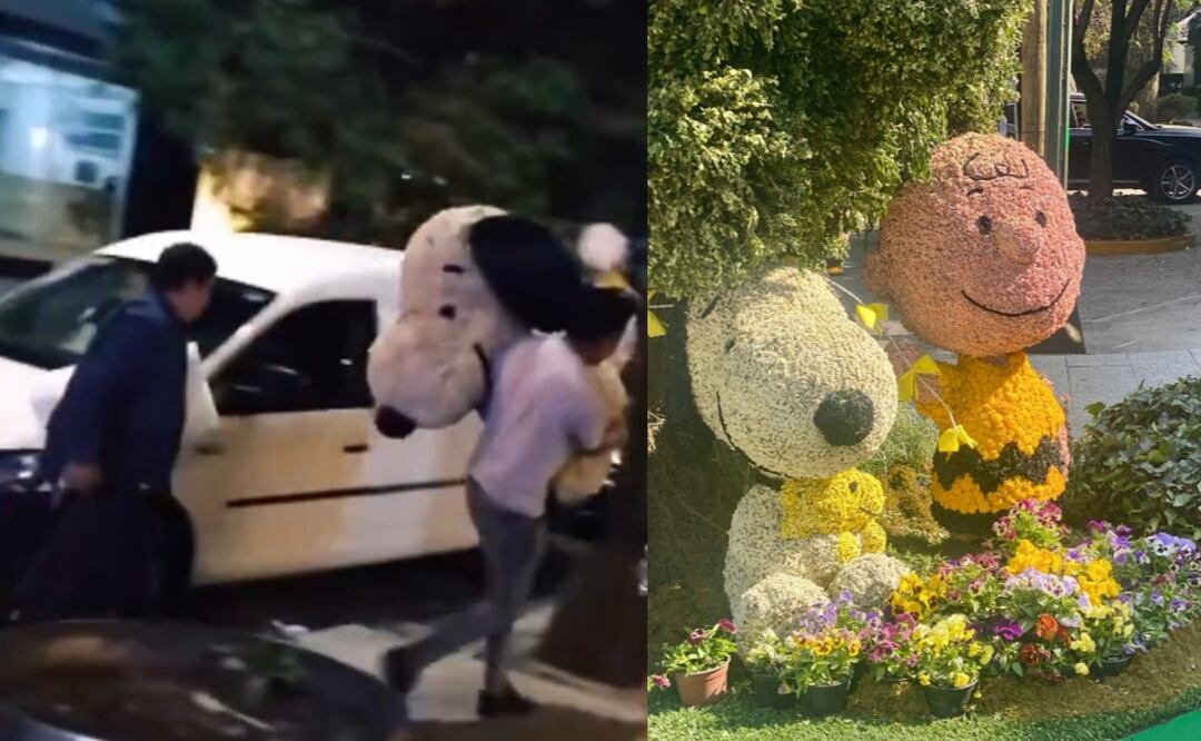 Robo de Snoopy en Polanco (Foto: X)