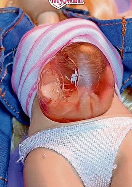 Muñeca con placenta (Foto: Especial)