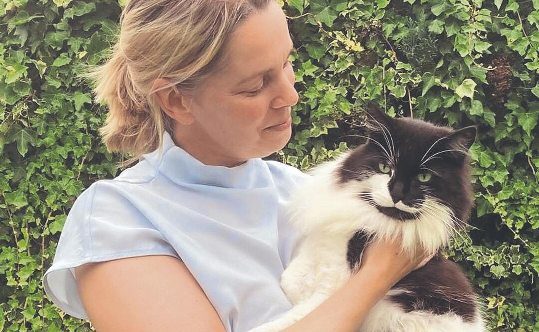 Incineran gato, resucita y regresa al cuarto día 