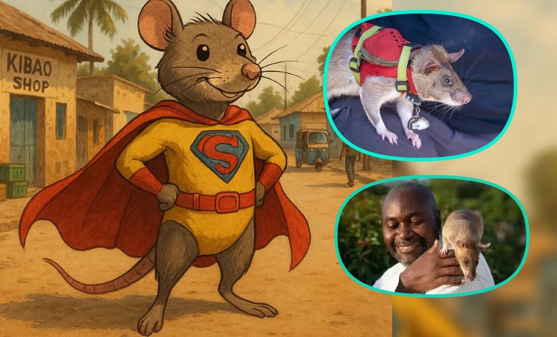 Imagen Ilustrativa: IA