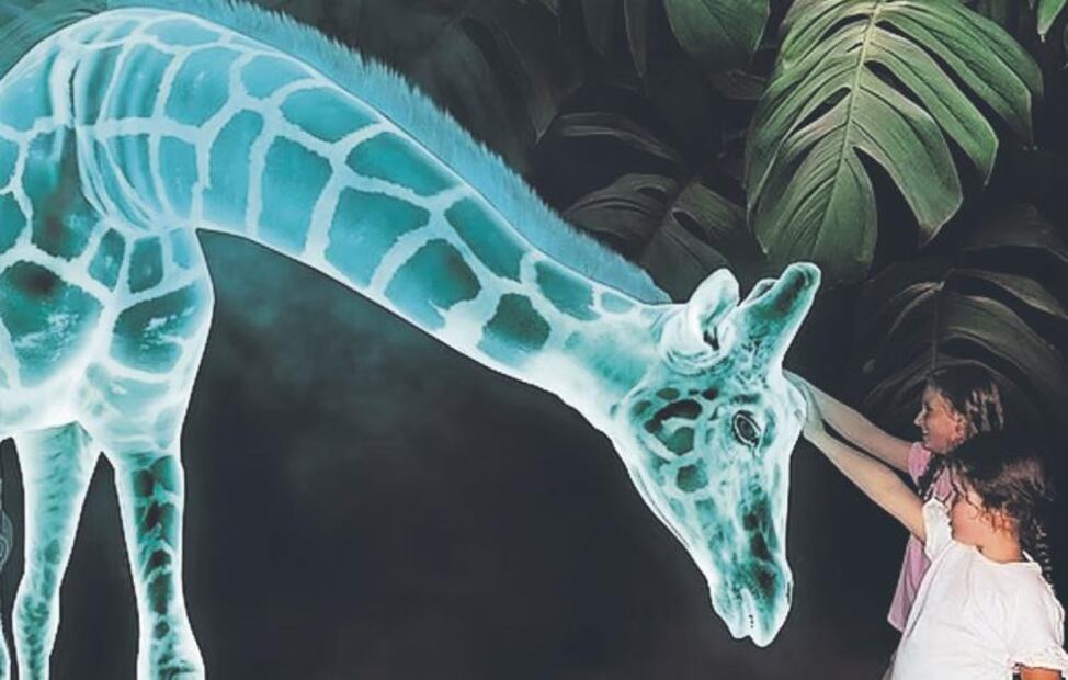 holograma-jirafa.jpg