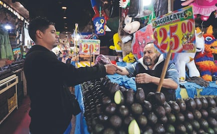 Costo del aguacate sube hasta 60 pesos: Locatarios revelan la razón 
