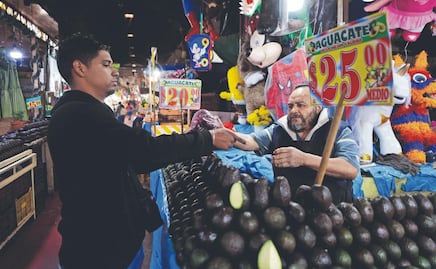 Costo del aguacate sube hasta 60 pesos: Locatarios revelan la razón 