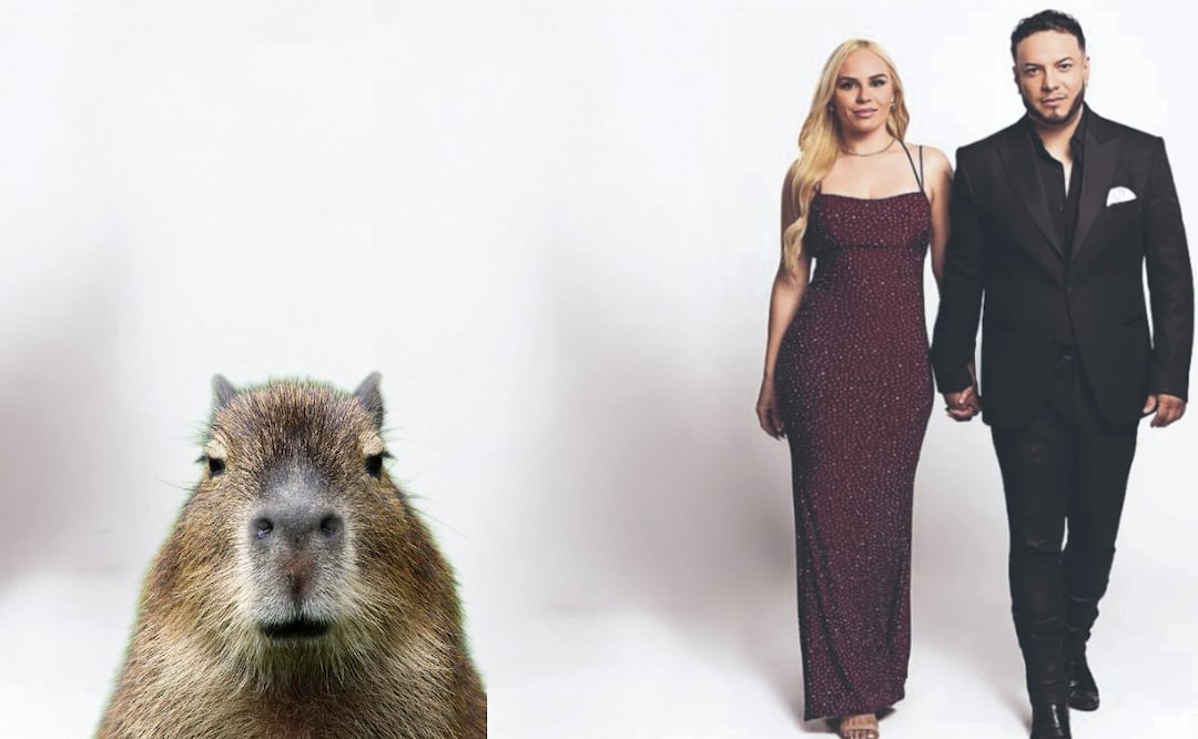 Lorenzo Méndez y Claudia Galván ponen a prueba su relación en nuevo reality
Imagen: Instagram