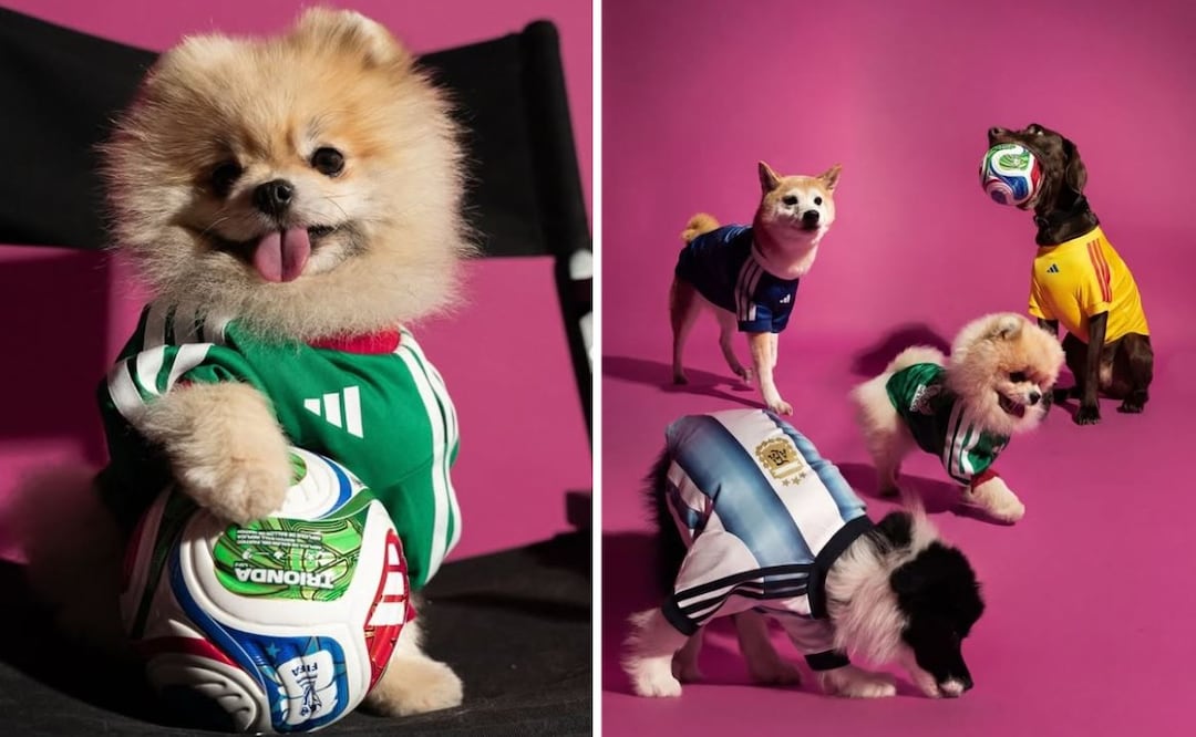 Foto. Instagram (Adidas presenta playeras mundialistas para perros: Fecha de estreno y cuánto cuesta el jersey de México)