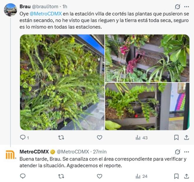 Metro CDMX: Denuncian el mal estado de las plantas y la tierra en el "muro verde" de Villa de Cortés. Foto: (Redes Sociales)