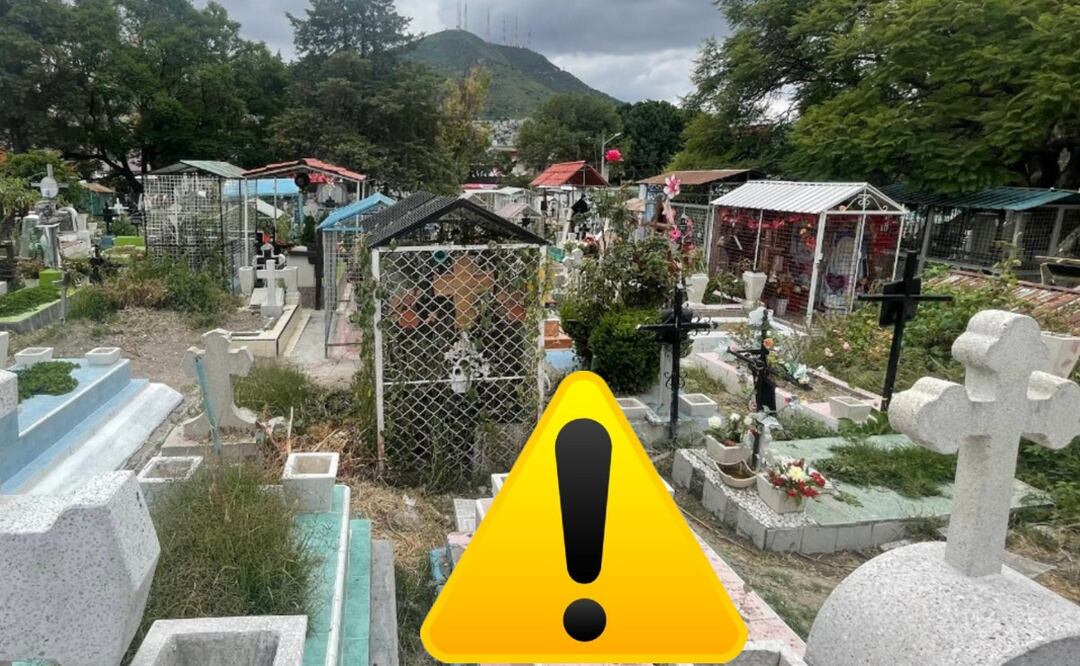 Hallan a mujer devorada por perros recostada en la tumba de su hermano, pasó en la GAM
Imagen: Especial