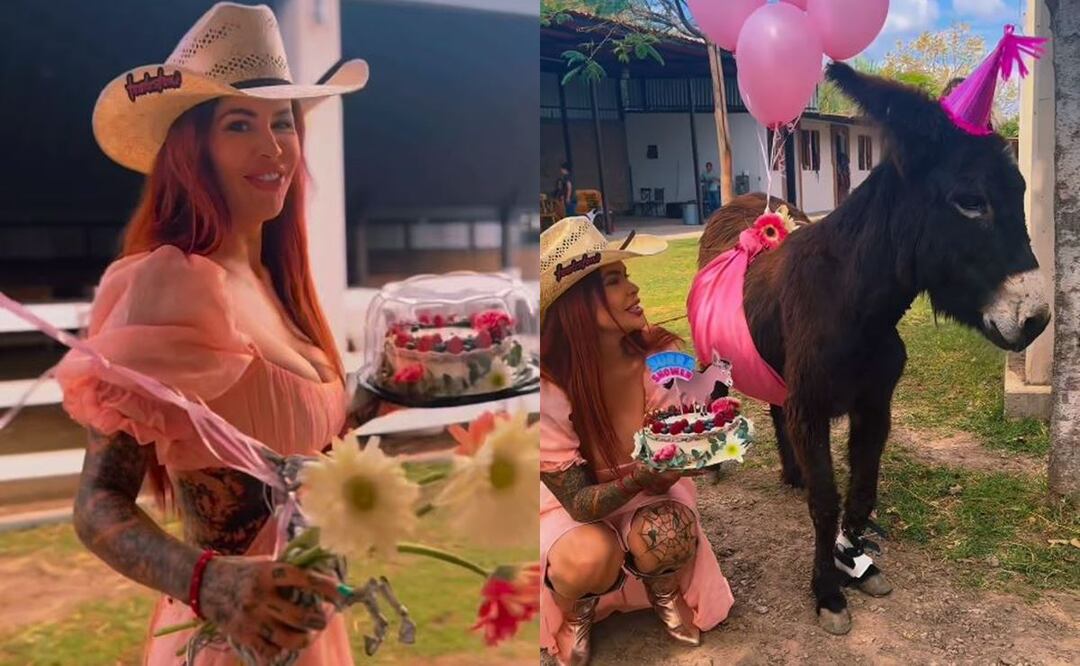 Modelo de 'la página azul' se hace viral por hacerle un baby shower a su burra embarazada
