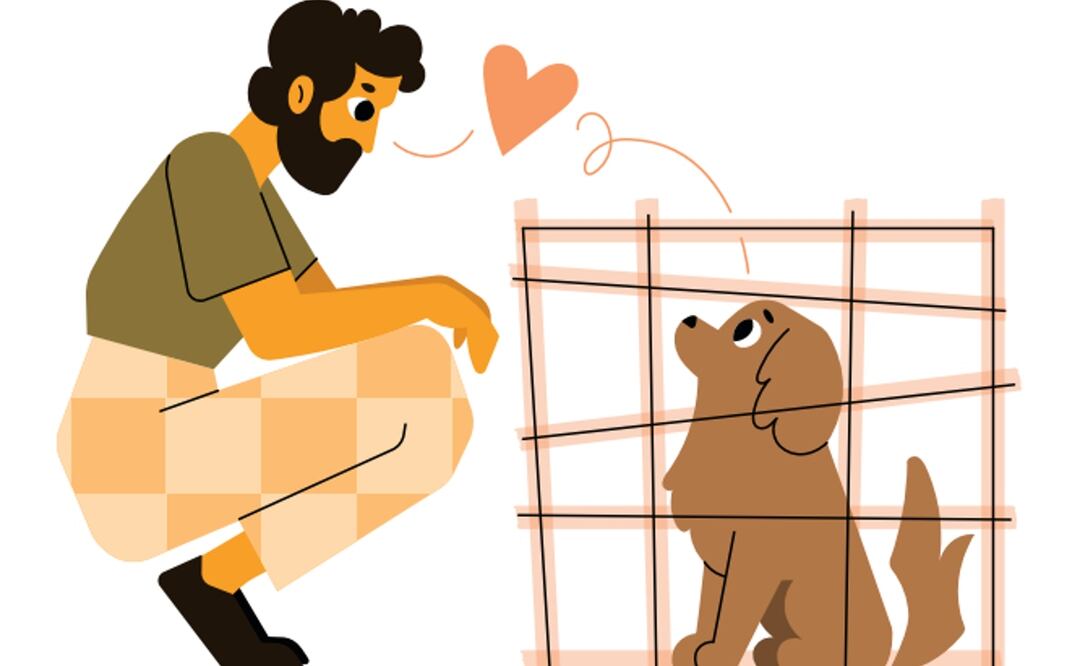 Para adoptar a un perro, debes tomar esto en cuenta