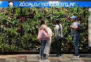 No son decoración: Los beneficios de los muros verdes instalados en la Línea 2 del Metro CDMX