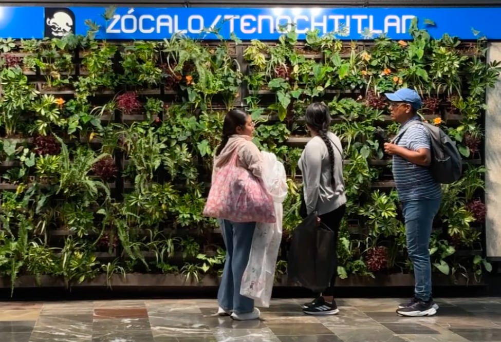 No son decoración: Los beneficios de los muros verdes instalados en la Línea 2 del Metro CDMX (Foto: Especial)