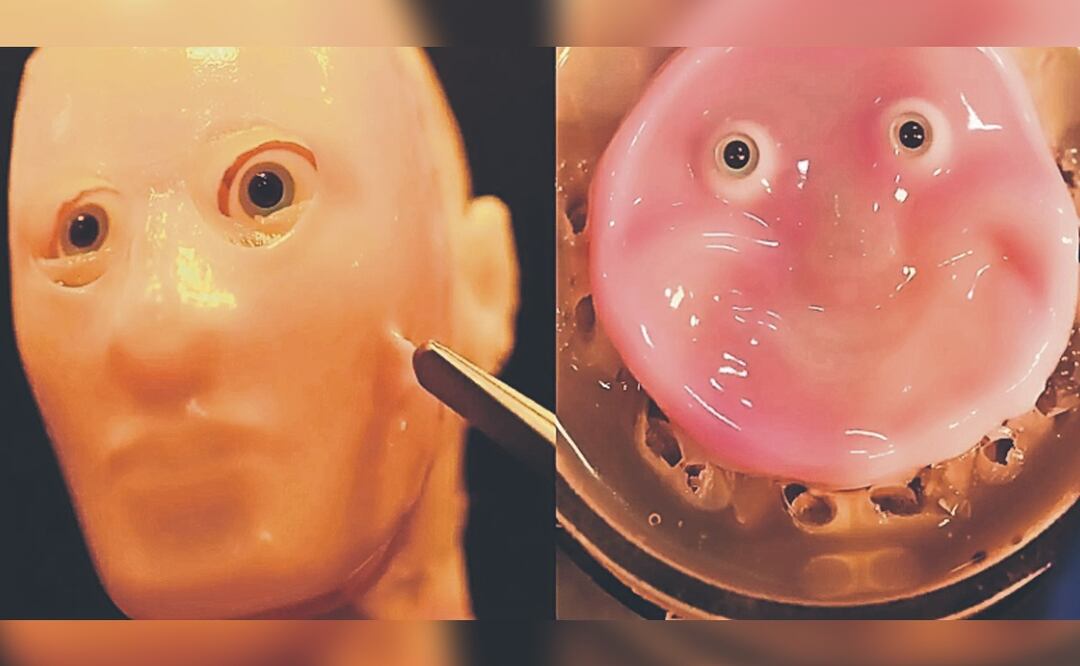 Robots humanoides en Japón son cada vez más reales, ya tienen piel real