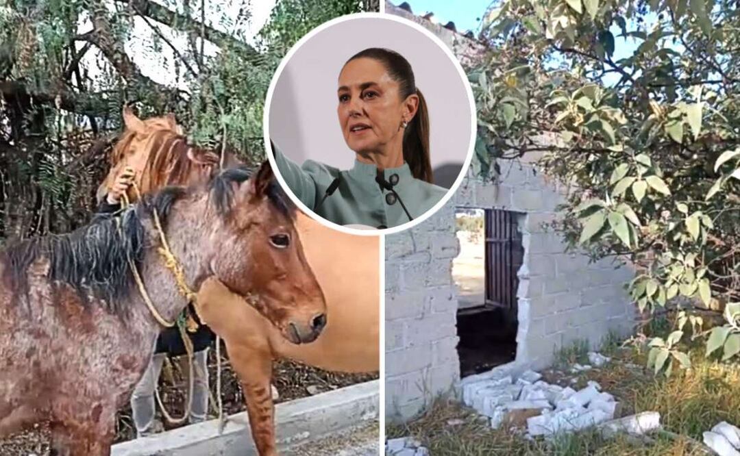 Foto: Especiales / Cuartoscuro