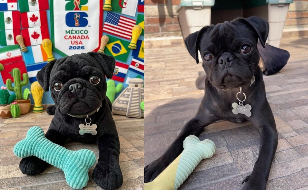 Paso a Paso: Crea la foto de tu mascota como peluche oficial de la Copa del Mundo 2026