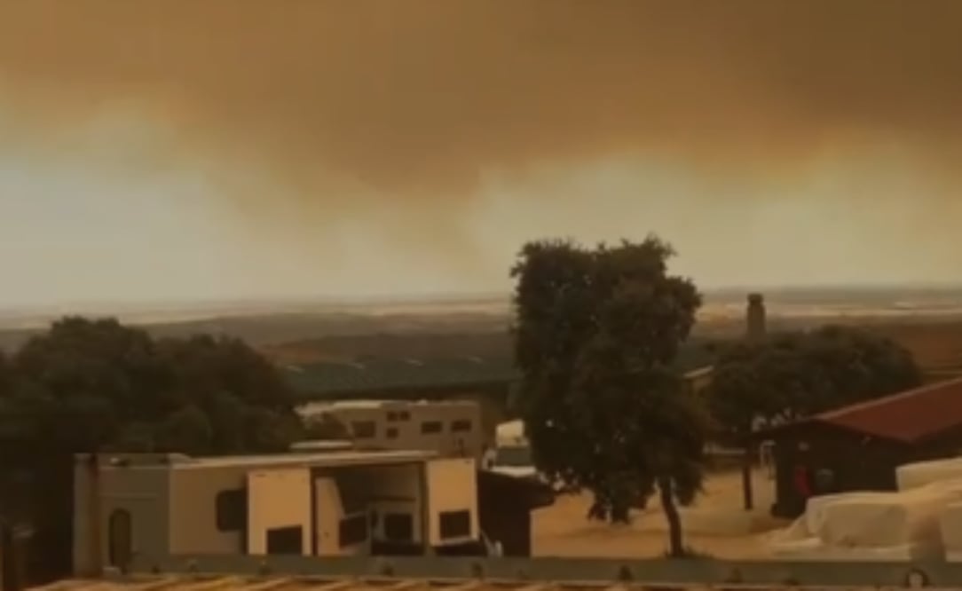 Incendios forestales en Madrid. Foto: Especial