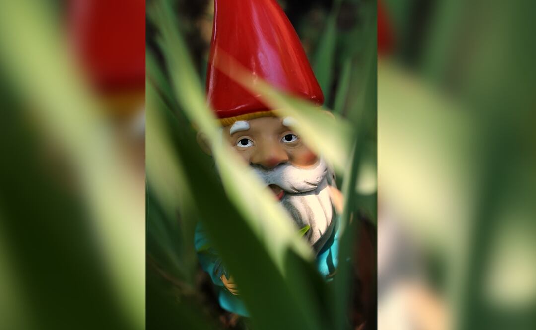 VIDEO: Captan supuesto gnomo caminando en Nuevo León