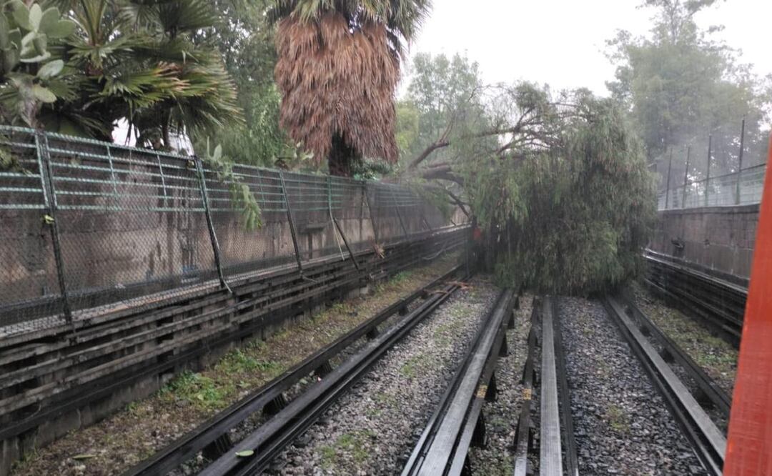 Línea 5 del Metro CDMX con servicio provisional en tramo La Raza-Pantitlán por caída de árbol