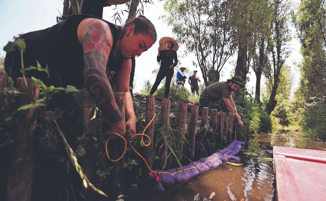 Foto: Paola Reyes (¿Cabello para limpiar Xochimilco? El inusual método que elimina aceites y metales de los canales)