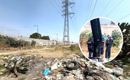 Jauría hambrienta se da festín con un cuerpo humano, en Ecatepec