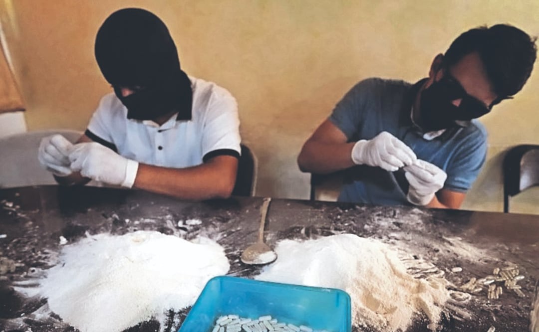 Cocineros del Cártel de Sinaloa prueban calidad del Fentanilo en vagabundos y animales