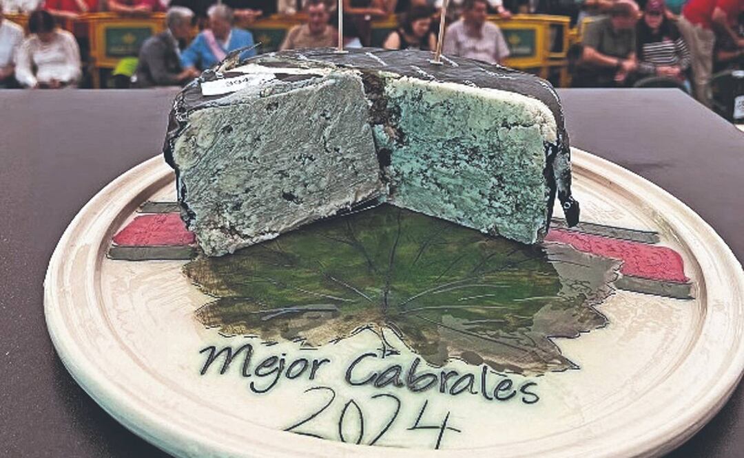 Queso azul se lleva Récord Guinness por su valor, fue vendido por 776 mil pesos