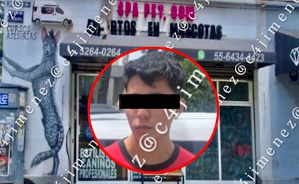 ¡Indignación en la Condesa! Llevan a un perrito a bañar y se los regresan muerto de en un spa para mascotas