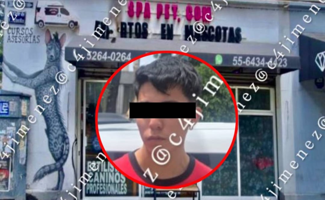¡Indignación en la Condesa! Llevan a un perrito a bañar y se los regresan muerto de en un spa para mascotas. Foto: (C4 Jimenez)