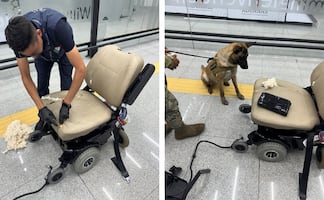 Rodaba en silla de ruedas con 8 kilos sustancias ilícitas en el AICM y lo detienen