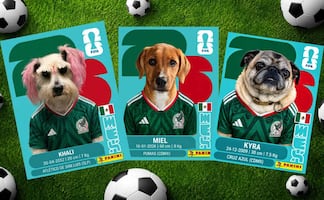 ¿Cómo hacer mi propia estampa del Mundial con mi foto o la de mi mascota? Aquí te decimos paso por paso