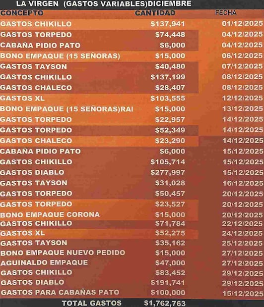 Filtran la narconómina del CJNG: Así eran las finanzas de "El Mencho" para sobornar a policías. Foto: (Especial)