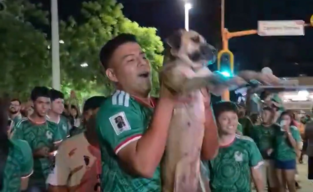 Perrita desaparecida en festejos (Vía: X)
