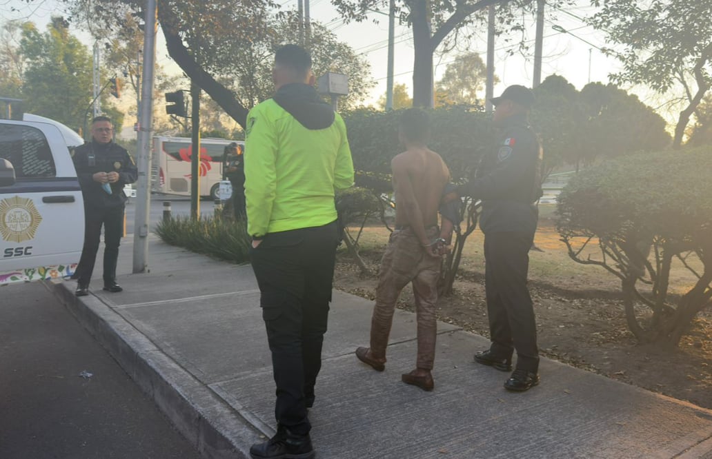 Escena macabra en CDMX: Hombre es sorprendido arrancando piel de perros, en la GAM (Foto: Especial)