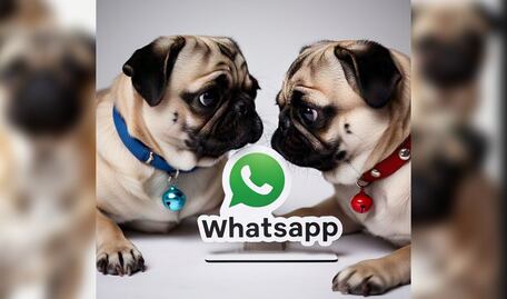 Activa el Modo Pugs en WhatsApp siguiendo estos sencillos pasos