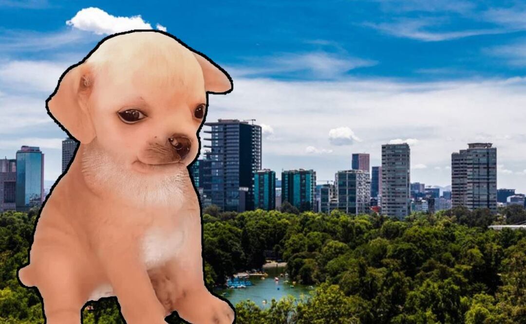 Bosque de Chapultepec: Peluditos seguirán prohibidos en su nuevo programa de manejo