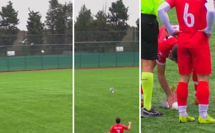VIDEO: Futbolista salva la vida a una gaviota en pleno partido de play-off