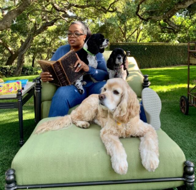 Oprah Winfrey y sus perros (Foto: Instagram)