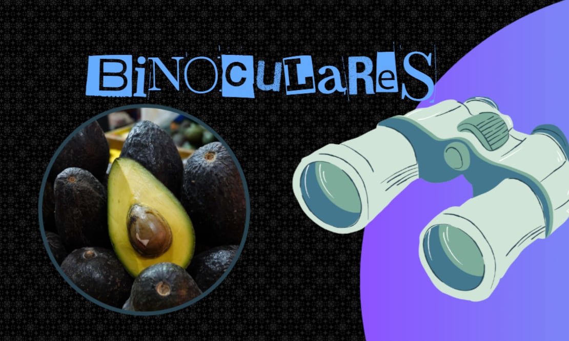 Extorsión pone en jaque al aguacate mexicano: Blindan empacadoras de Michoacán (Foto: Cuartoscuro)