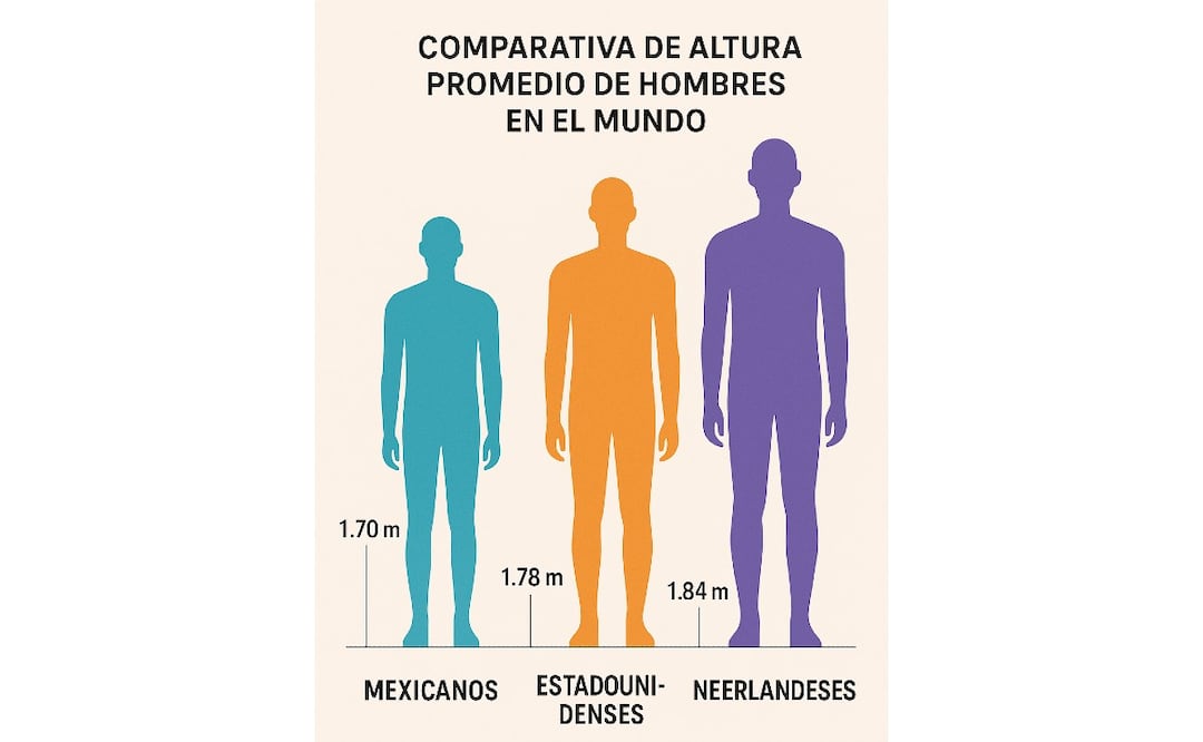 ¿Cuál es la altura promedio de los hombres en México y el mundo?
Imagen Ilustrativa: IA