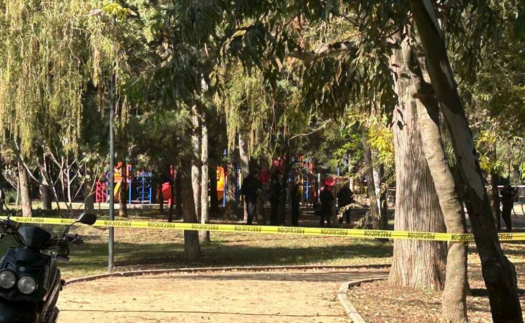 Era alumno del Poli el joven hallado sin vida junto al museo Rufino Tamayo